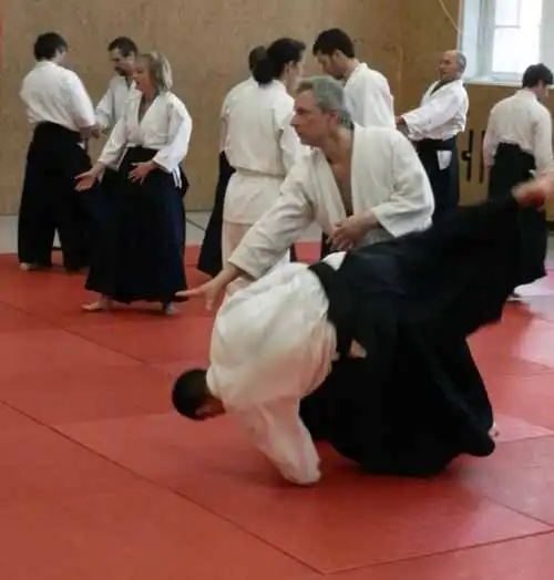Aikido seminar in Berlin 2012.